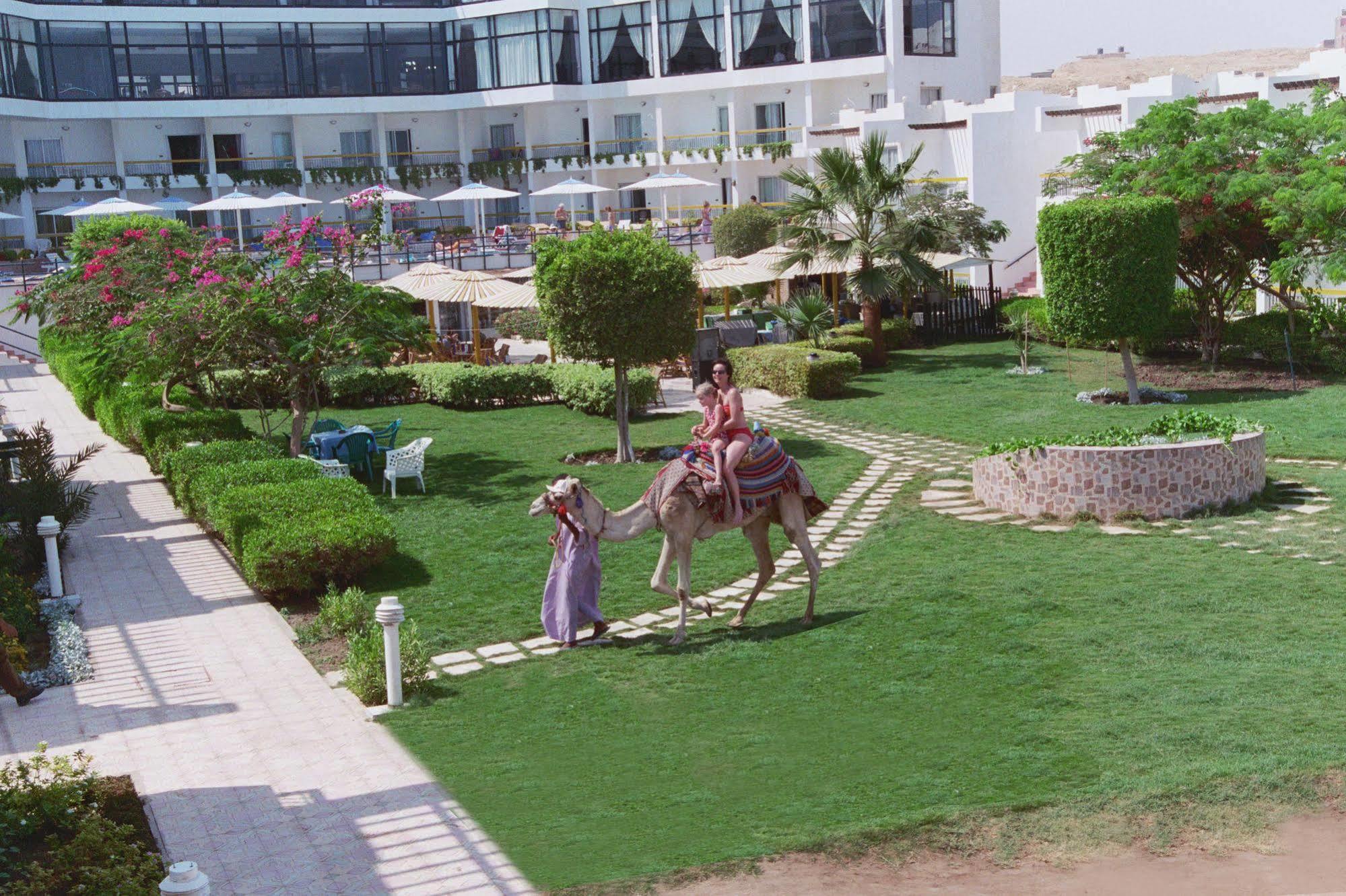 Beirut Hotel Hurghada Exteriér fotografie